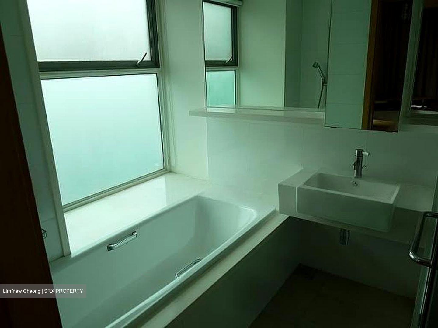Parc Emily (D9), Condominium #570690241